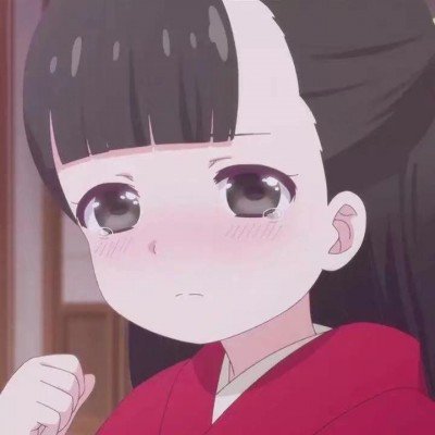 12306带敬字车票
